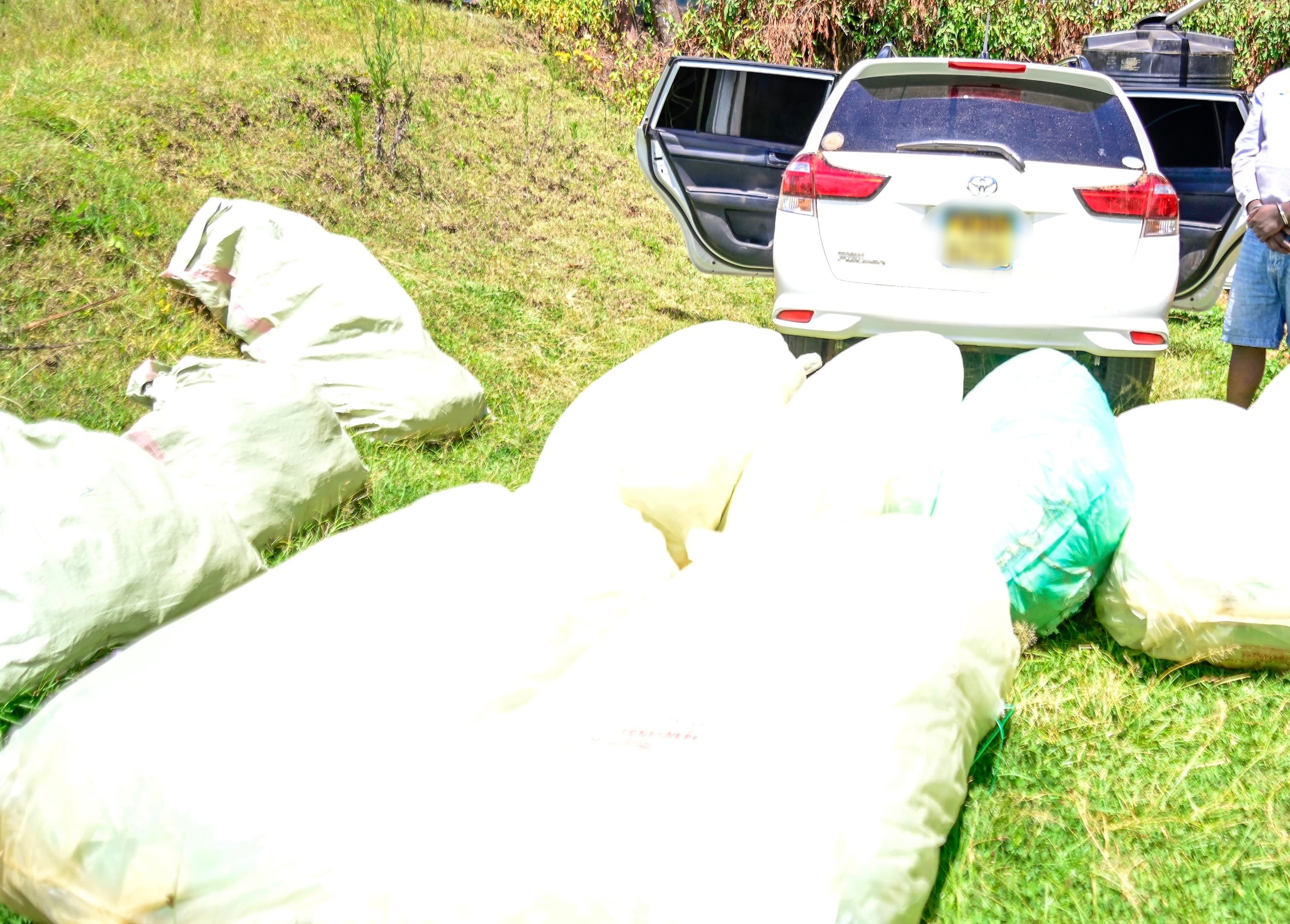 Police nab suspect, seize Sh13m bhang haul in Keiyo