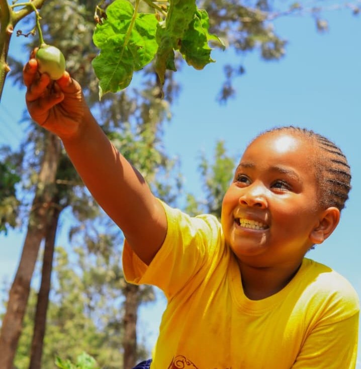 Six-year-old girl rallies her friends into planting trees