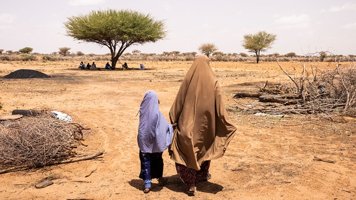 Food crisis as Kenya faces worst dryness in 45 years