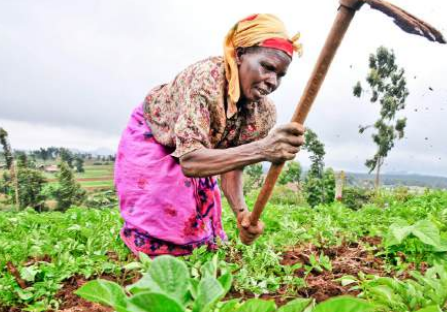 2026 declared international year of the woman farmer