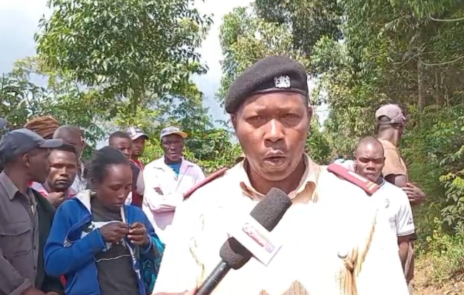 Man kills two before being killed by mob