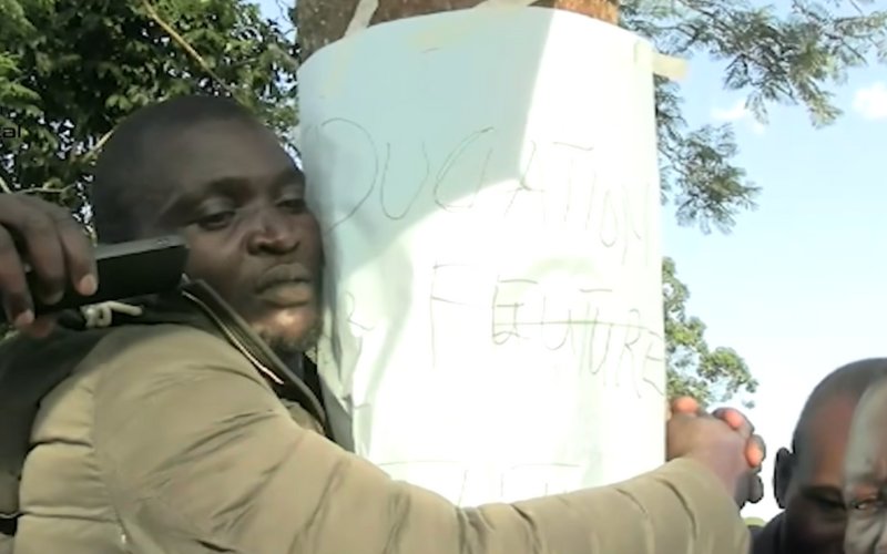 Nuisance? Tree-hugging trend faces growing resistance