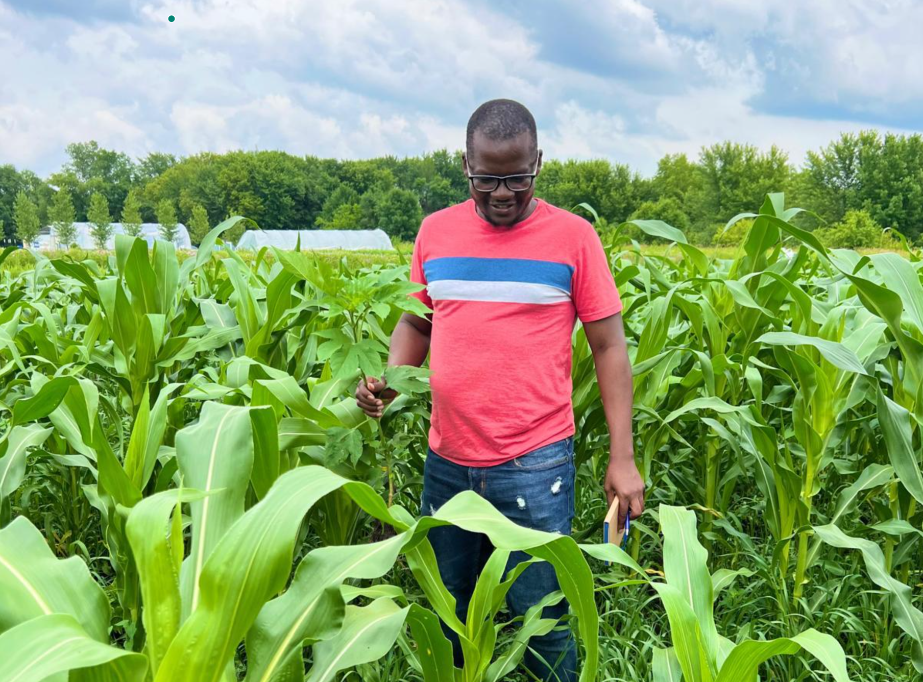 Tackling hunger in land of plenty where tables hold empty plates
