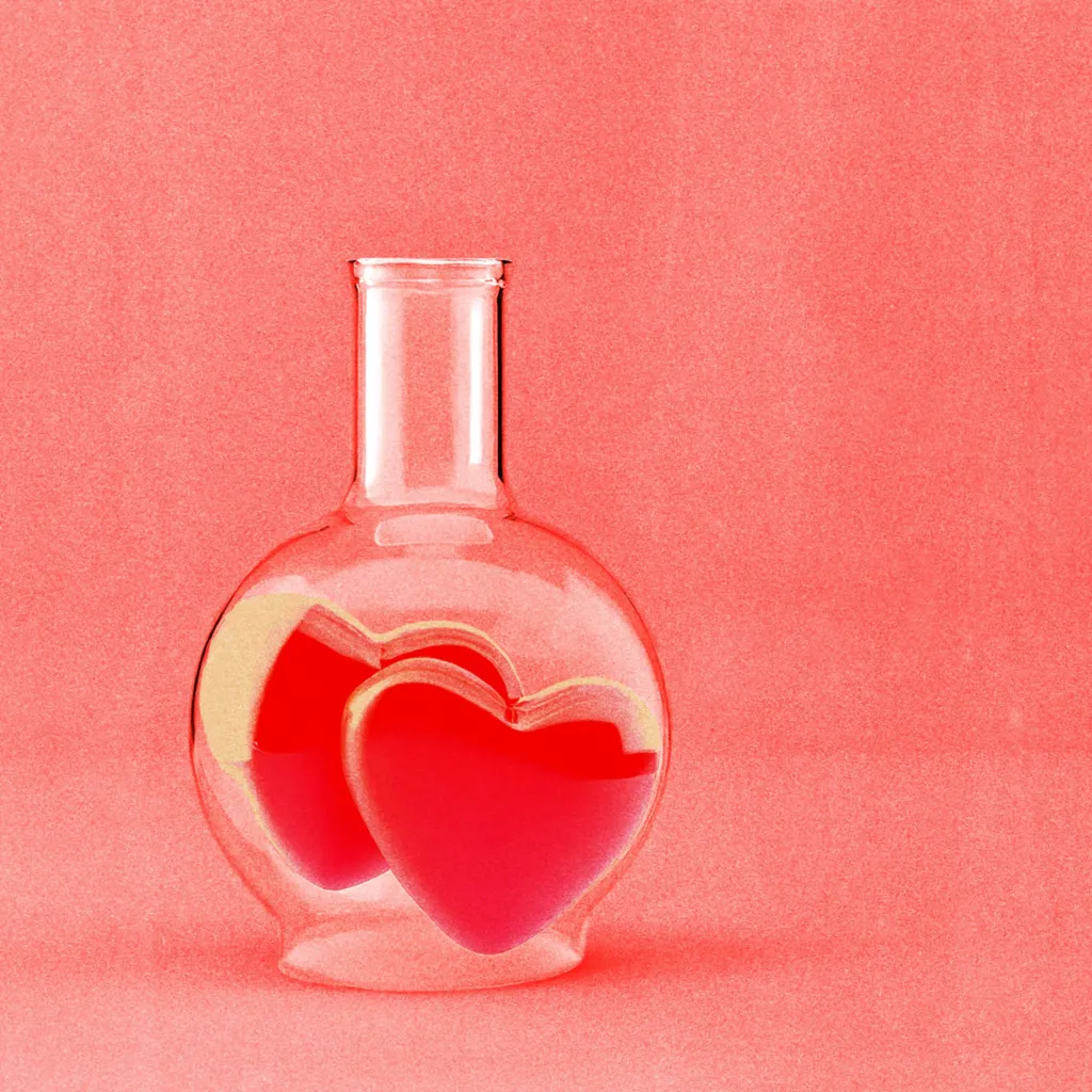 The science of soulmates: Is there someone out there exactly right for you?