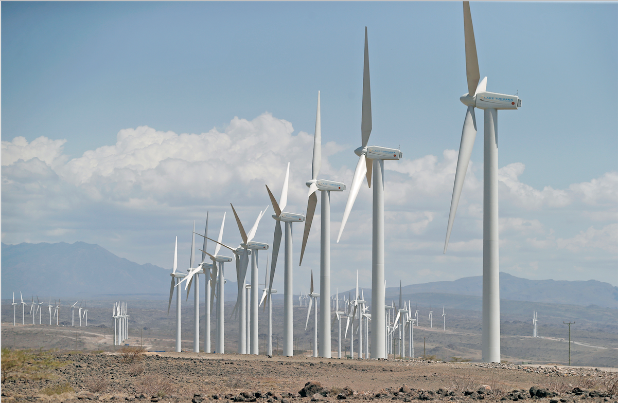 NJOROGE: Why Kenya needs a green development finance, now