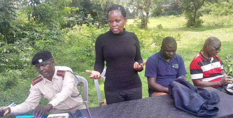 Test crop varieties to identify high yield ones, farmers urged