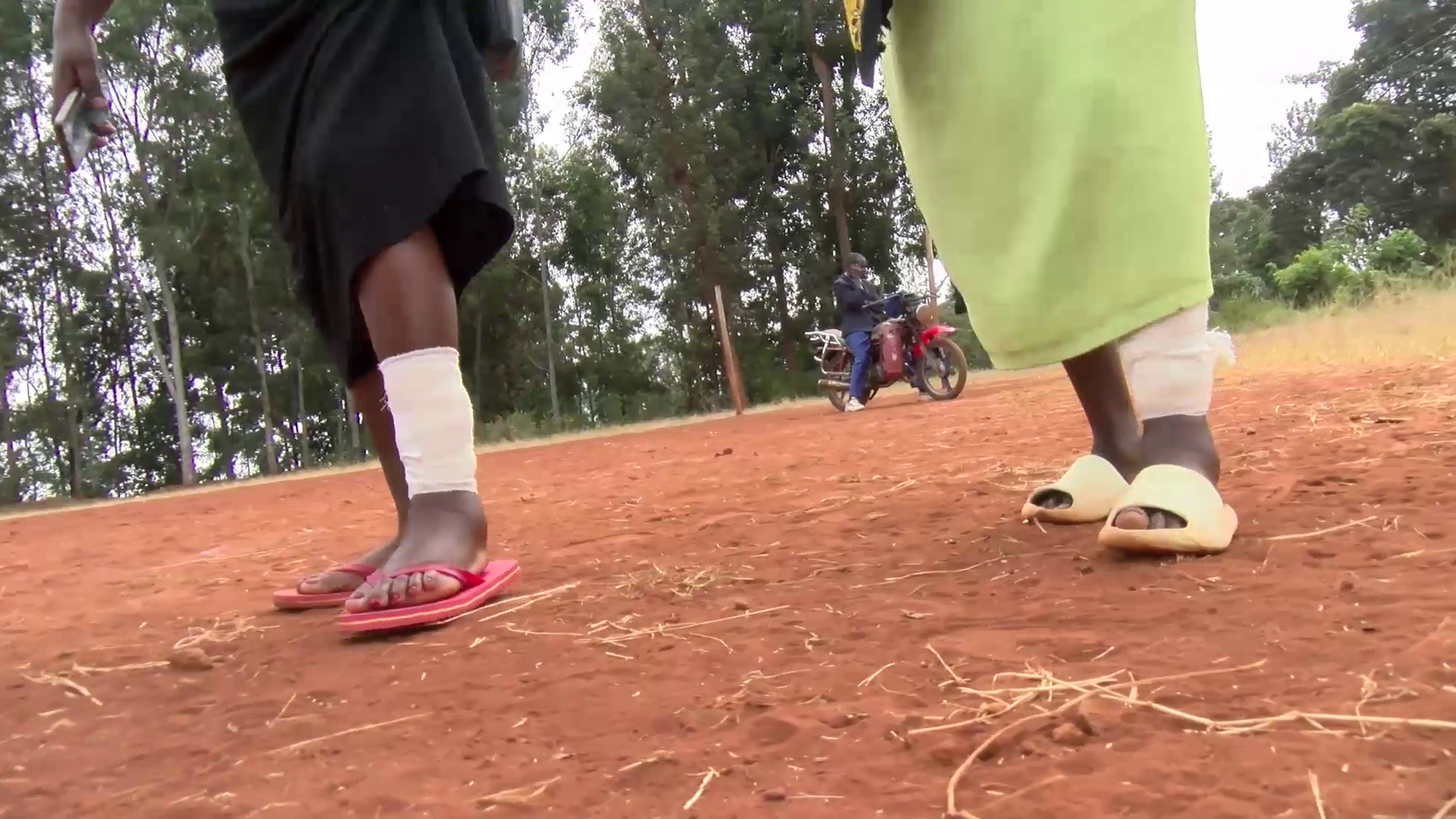 Stray rabid dogs bite and maul terrified Murang’a villagers