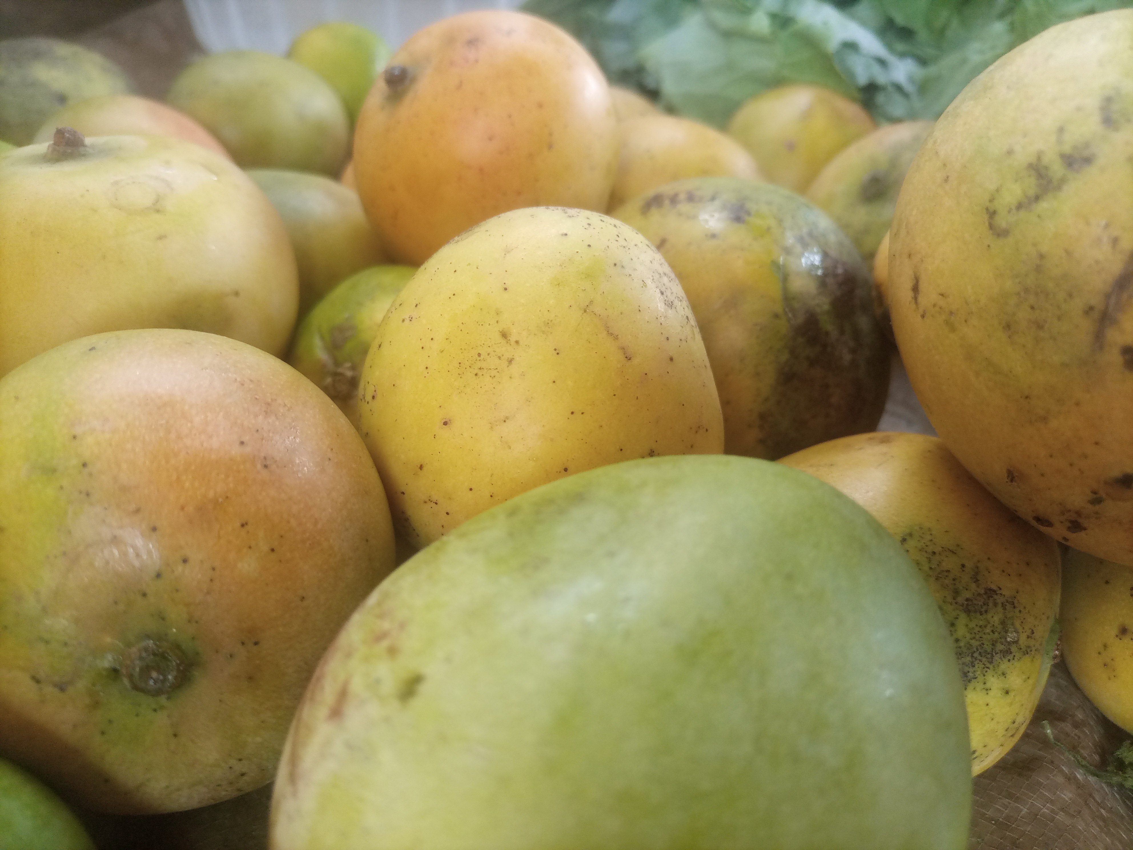 Tomato, mango oversupply delivers price relief in West Pokot