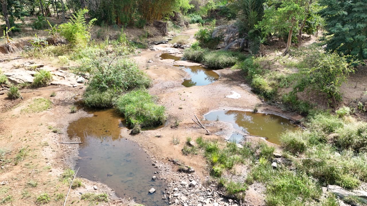Hunger fears rise in Mbeere North amid acute water shortage