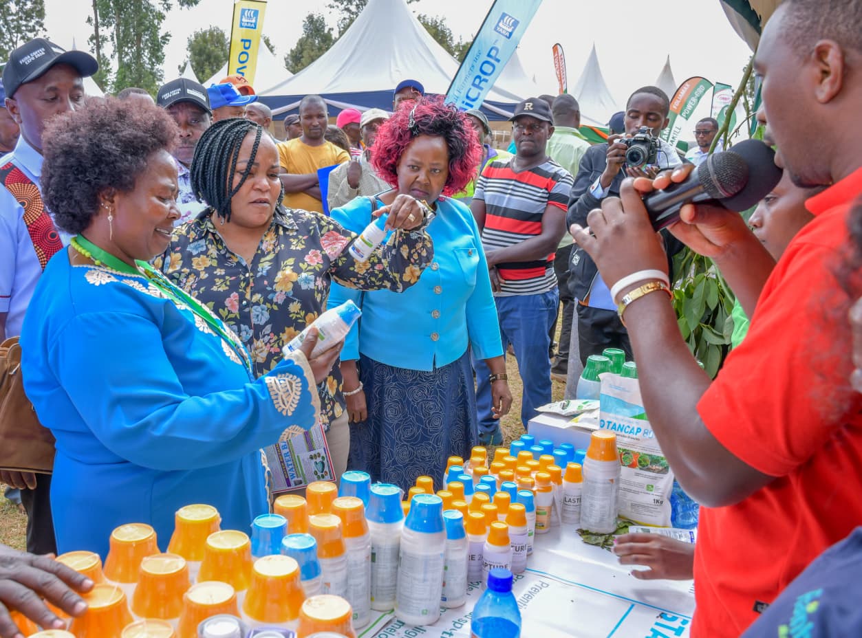 Coffee farmers sound alarm amid rise of toxic chemicals