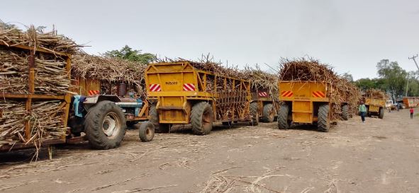 State, sugar workers’ union reach deal as strike is suspended