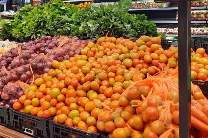 Basics getting costlier despite inflation seeming under control – report