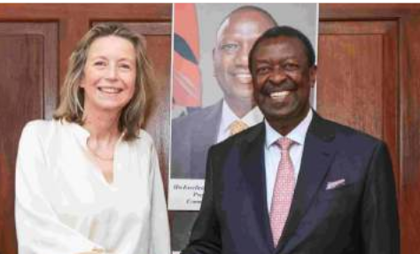 EU envoy calls for credible polls and respect for human rights ahead of ’27
