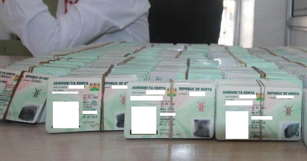 How new IDs in pastoralist counties may tilt 2027 polls