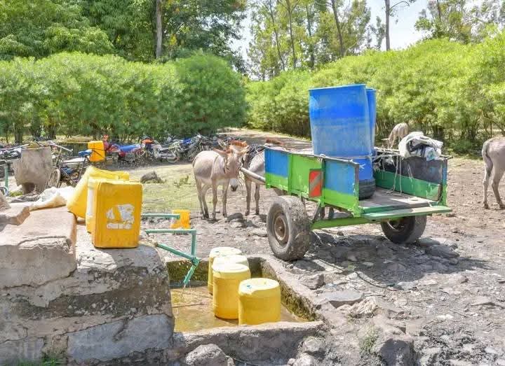 Mwea residents struggle to find clean water as drought bites