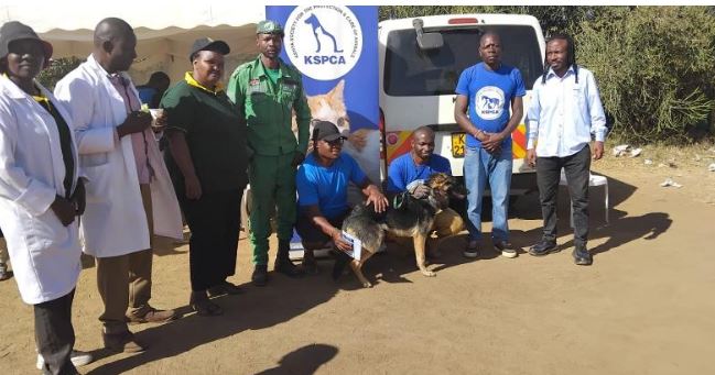Nairobi launches campaign to vaccinate over 10,000 domestic animals
