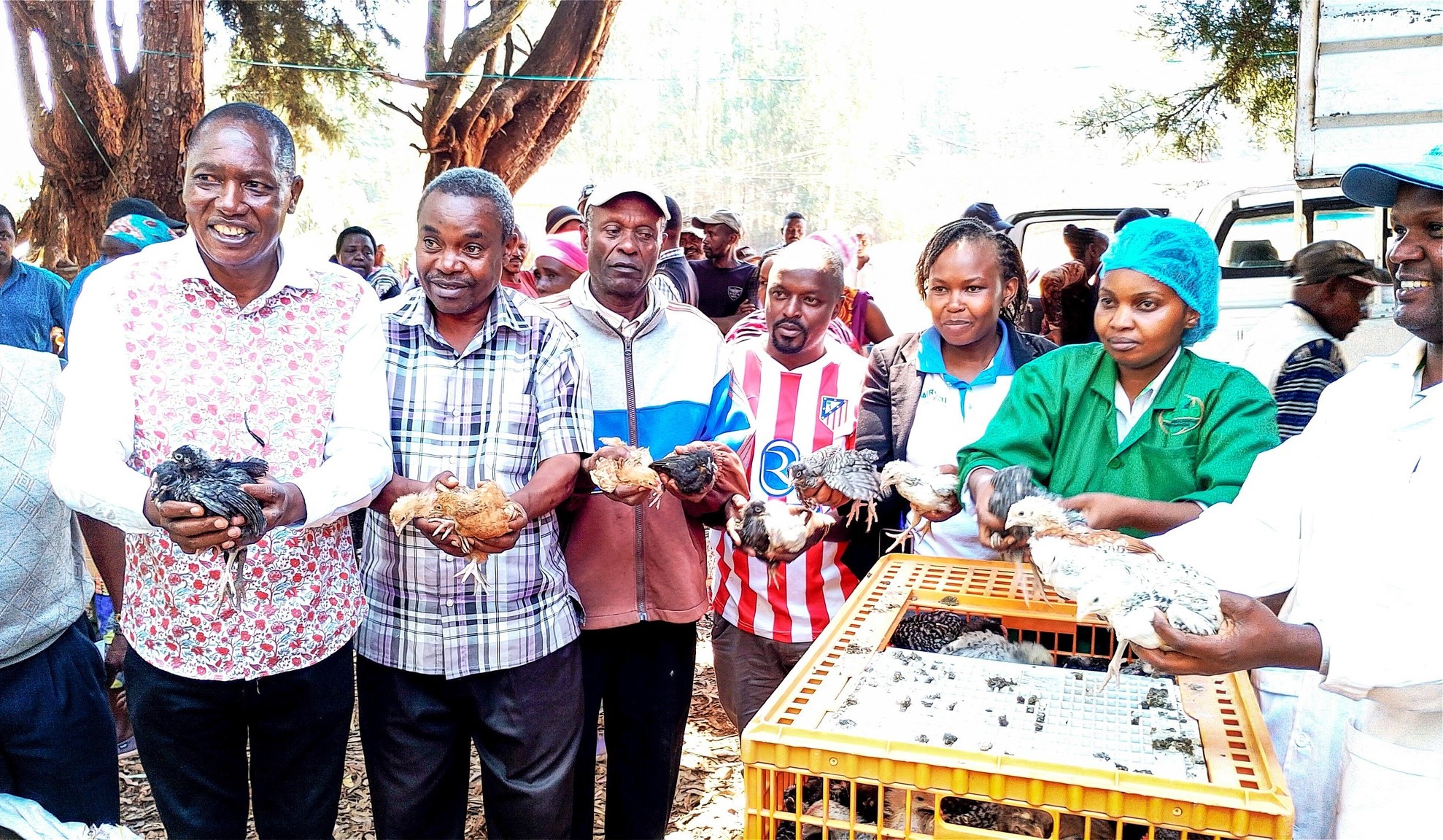 Mukurweini farmers get 4,500 improved chicks