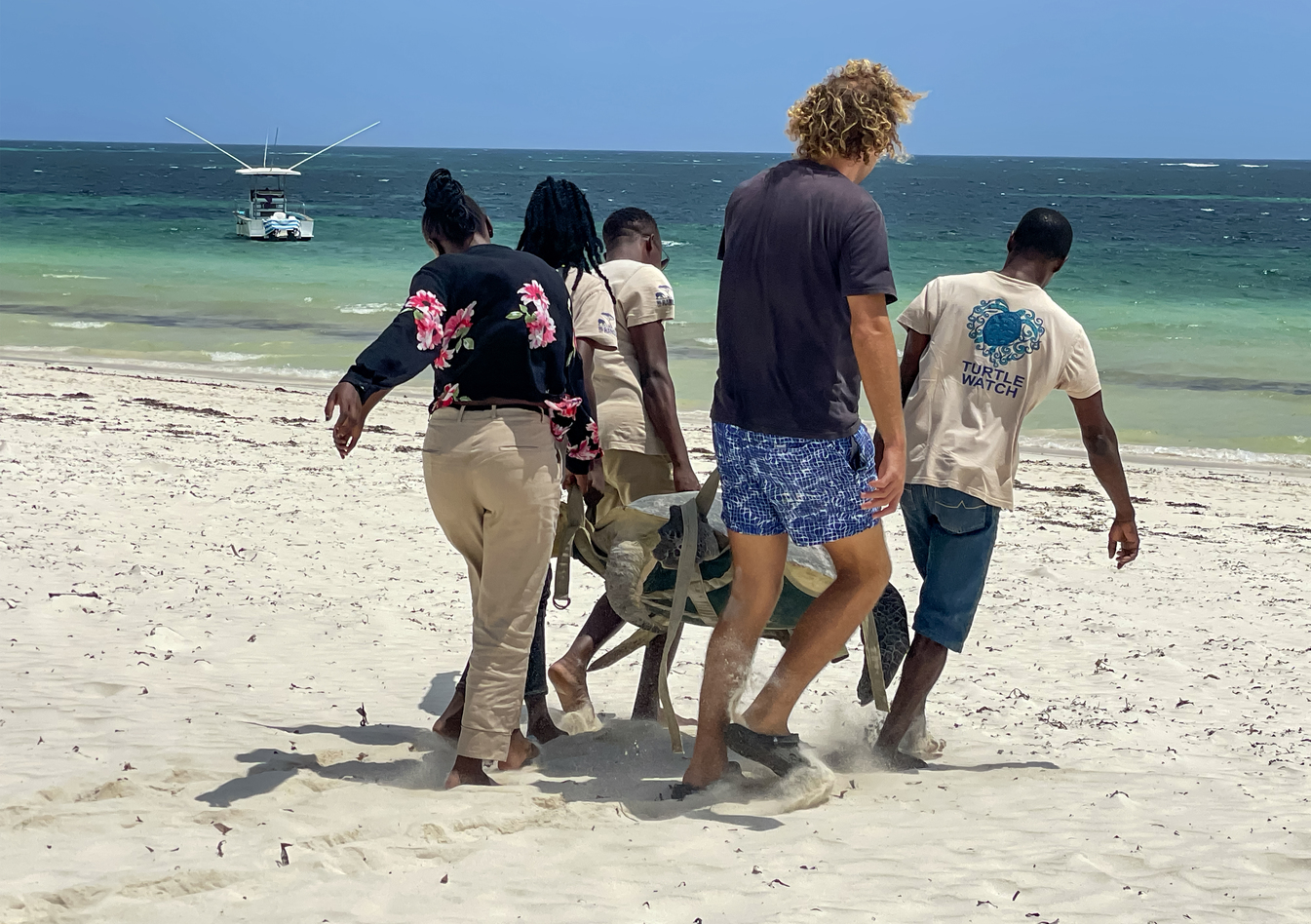 Inside community groups saving turtles in Watamu