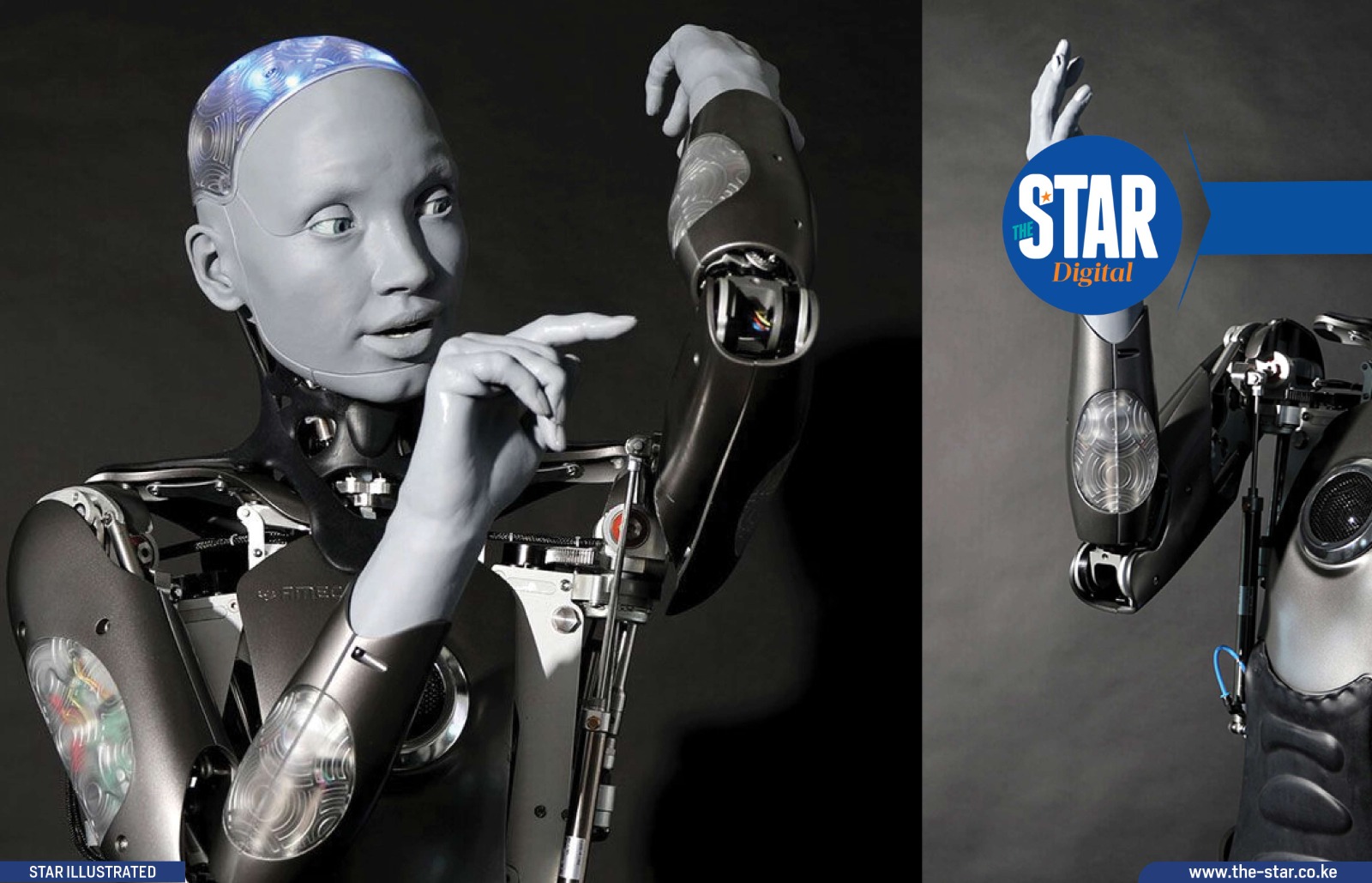 Countries where human robot startups are taking off