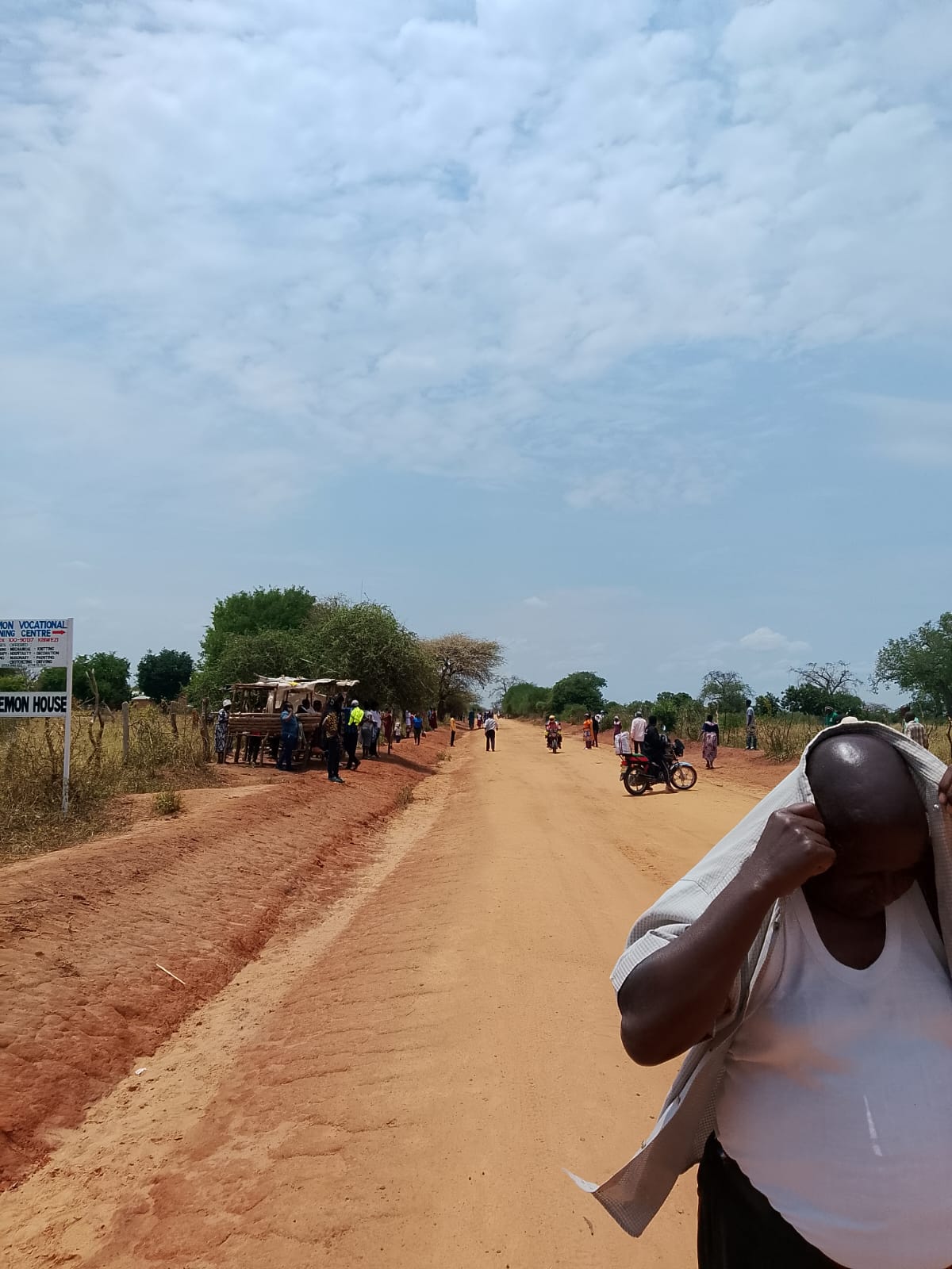 Bees swarm Makueni funeral, injure mourners