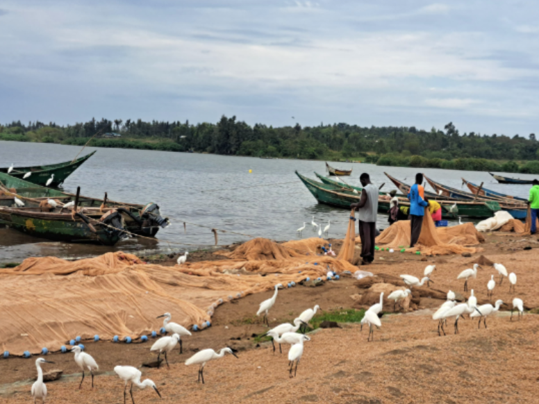 National, county officials clash over fishing licences mandate