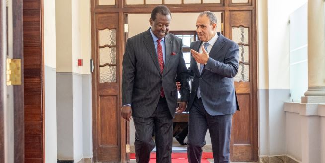 Cairo dangles Sh12bn funding in Nile row