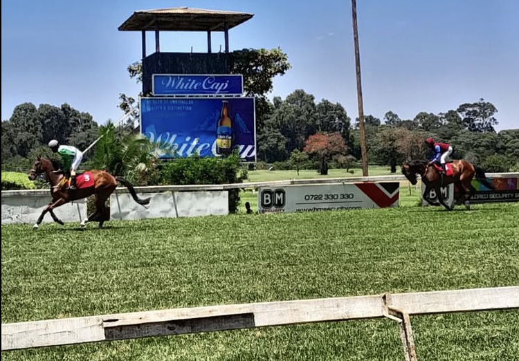 Nairobi rings in Year of the Horse with racing at Ngong Racecourse