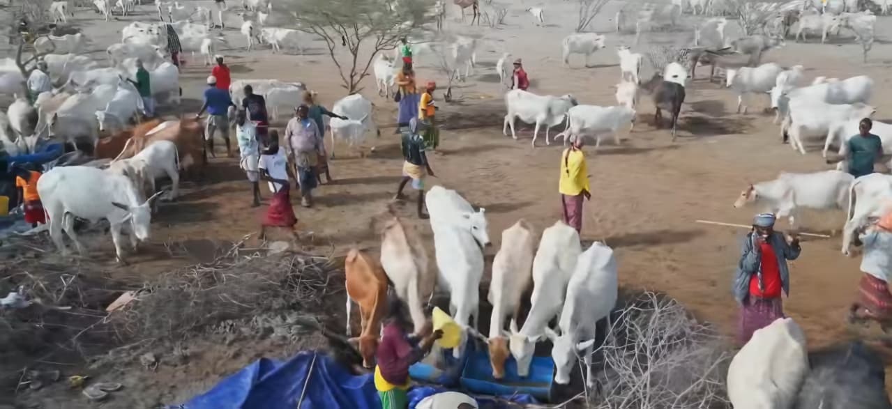 New borehole brings relief to Geriley residents