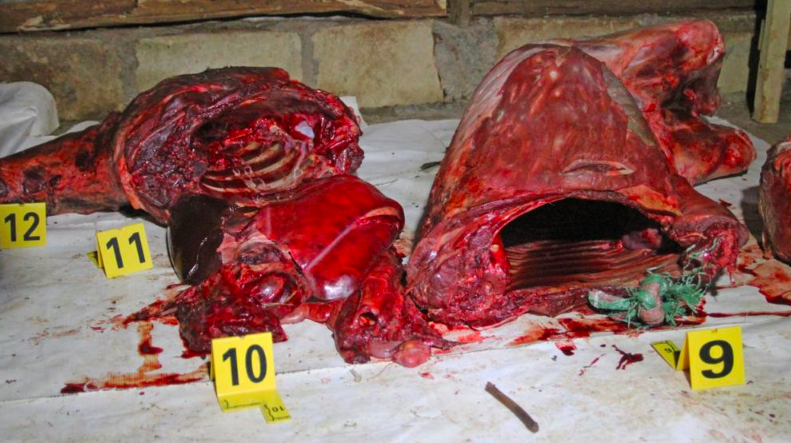 Zebra on the menu? Four arrested in KWS bushmeat bust