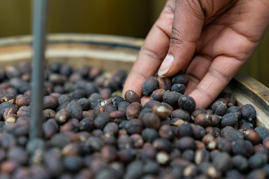 News Analysis: AGOA extension brings relief, yet policy uncertainty clouds U.S.-Africa trade future