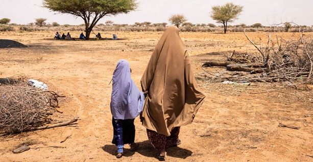 Forecast warns of starvation as dry weather persists