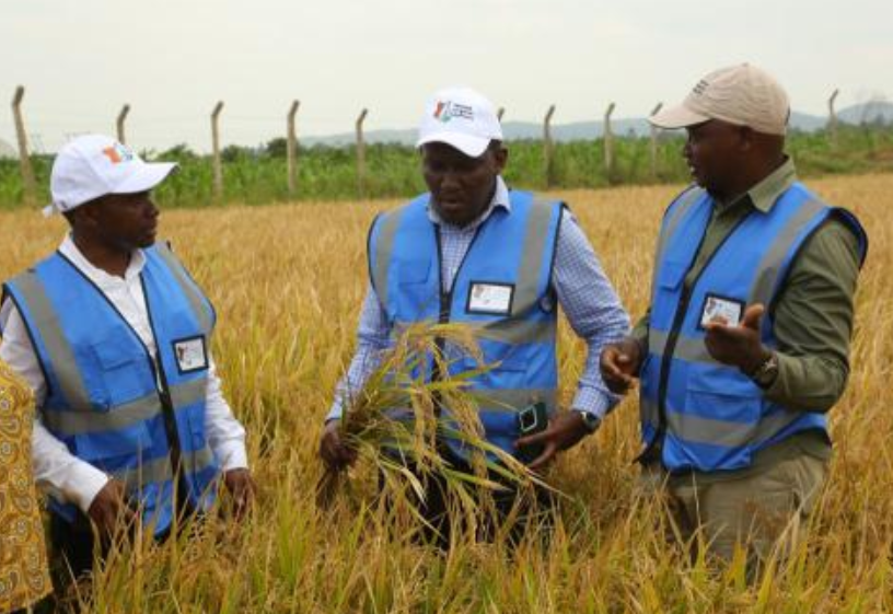 PS: Farmers to access solar irrigation through flexible payments