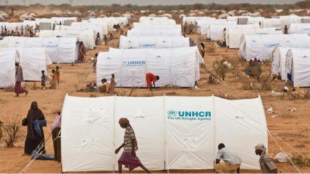Shared strain, shared hope in refugee areas