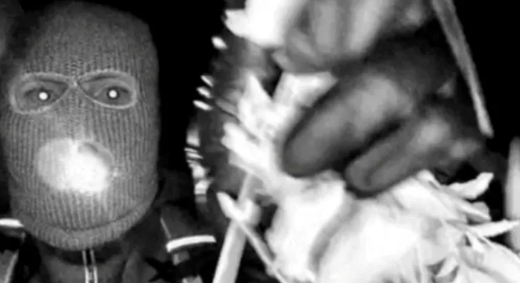 FBI releases description of suspect in Nancy Guthrie kidnapping