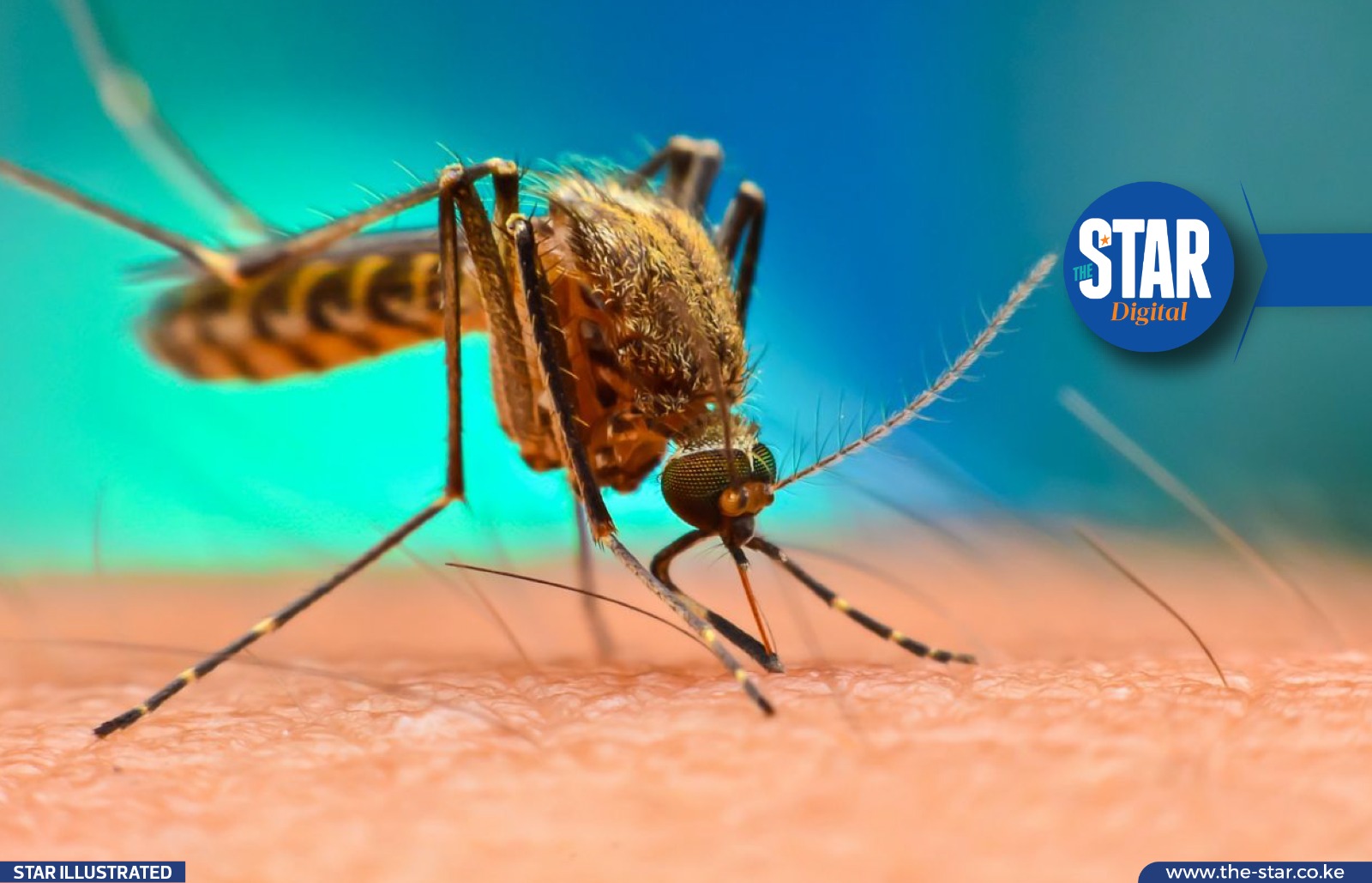 Gates denies releasing mosquitoes in Kenya