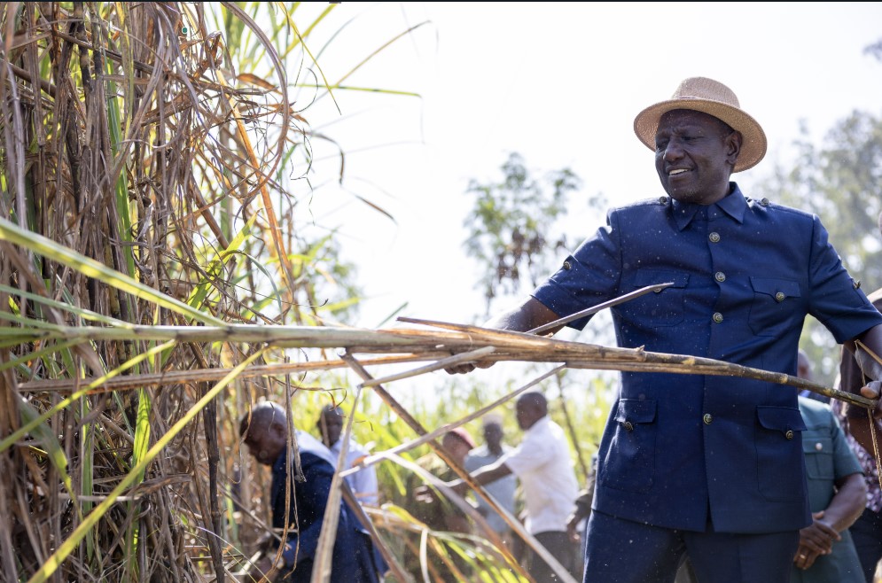 WANJAWA: Mumias: Cost of leadership failure and low-demand politics