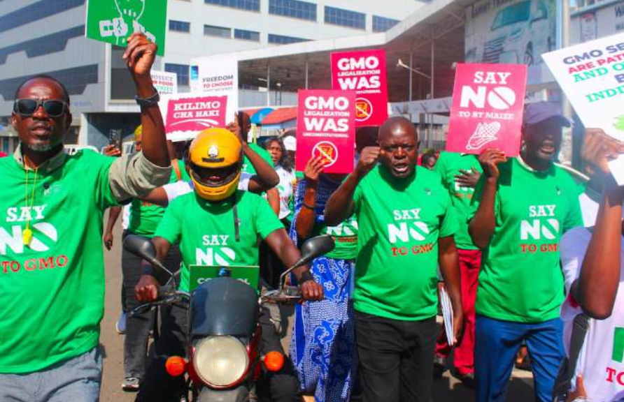 Anti-GMO activists march in Kisumu, want policy reversed