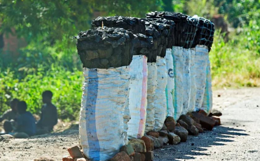 Fake funeral suspects used hearse to smuggle charcoal