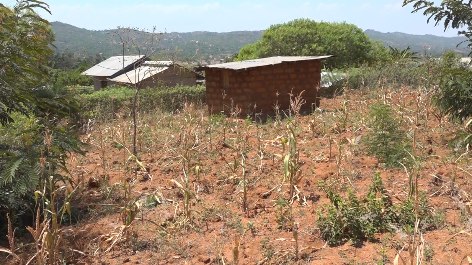 Fertile land lies idle as Murang'a residents appeal for water