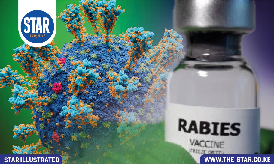 World's 10 deadliest viruses by fatality rate