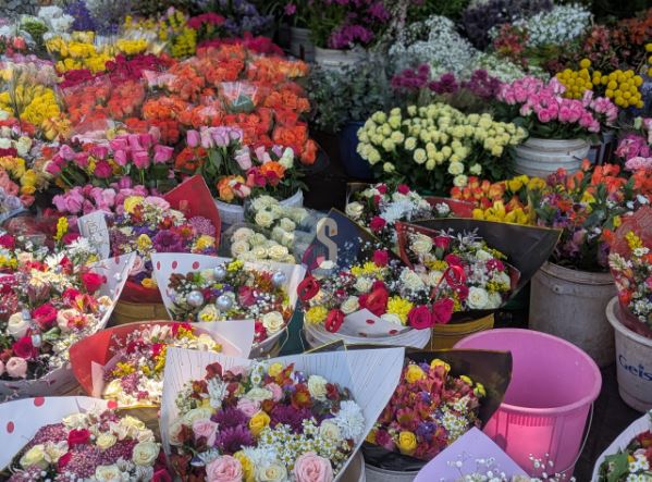 Valentine’s Day Edition: What women really want
