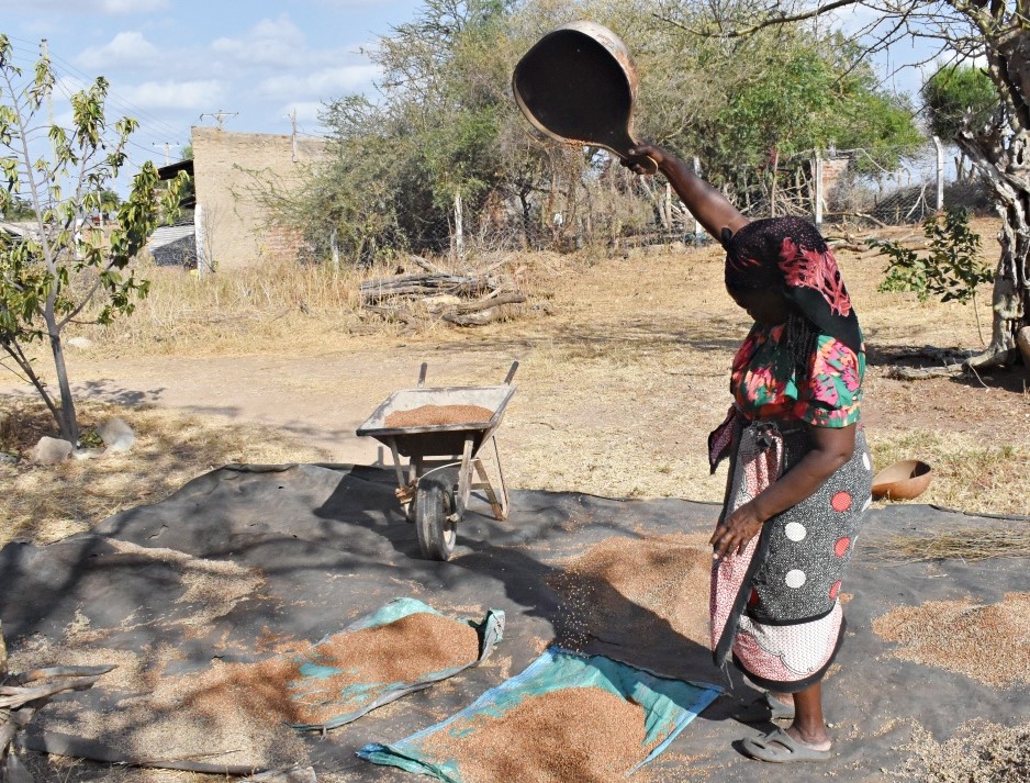 Early rains renew hope for Kitui farmers after failed harvests