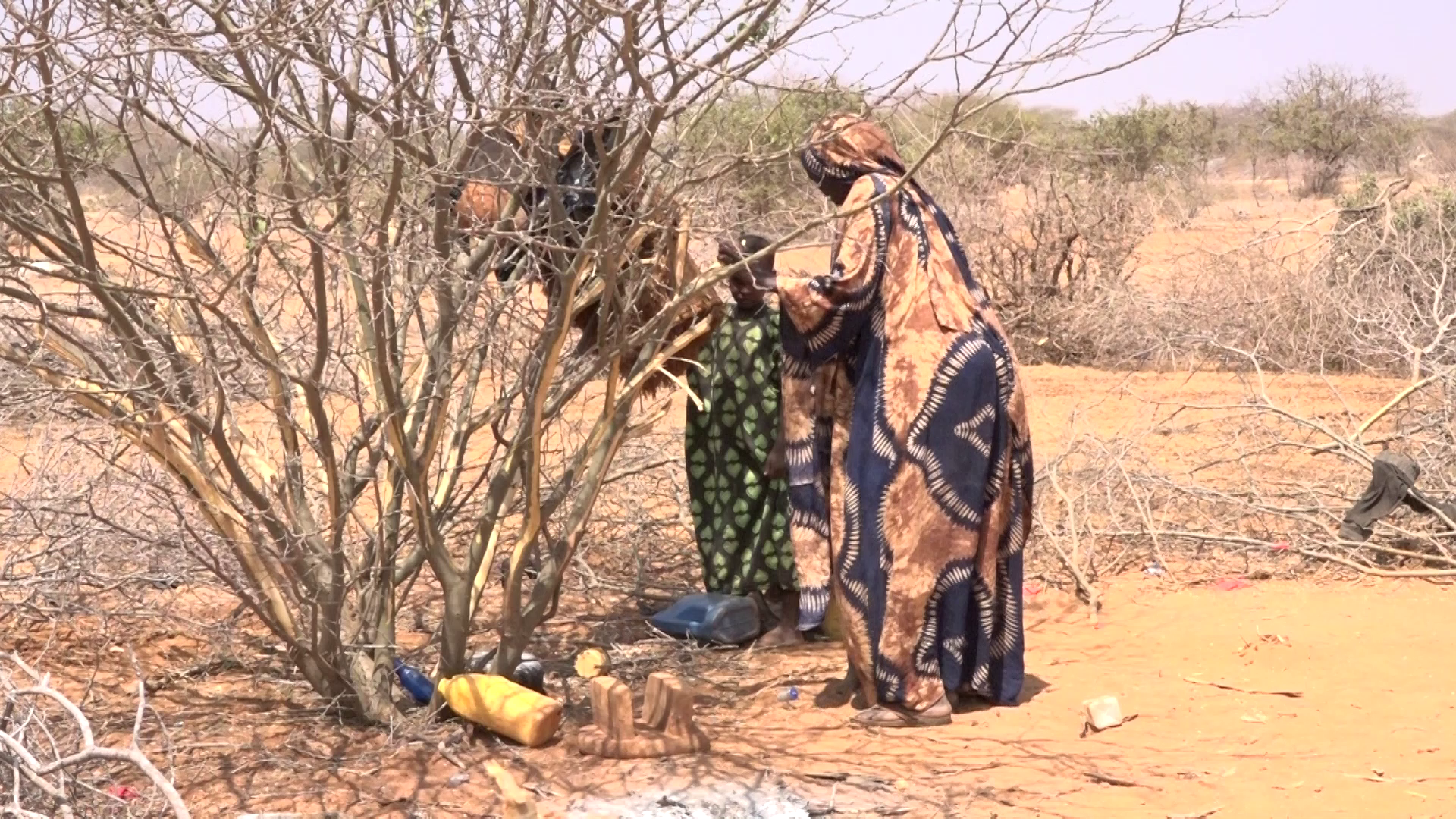 State releases Sh778 million to drought-hit households