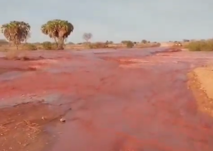 KWS alert: Heavy rains make Tsavo roads impassable