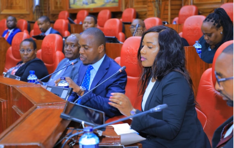 County Bill threatens constitutional safeguards, legal experts now warn