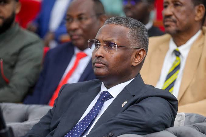 Nisa chief Mahad Salad leads stability push before Somalia’s national vote