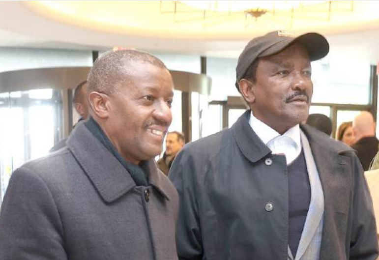 Kalonzo in big money mobilisation US visit