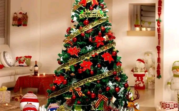 Exposed! How Bungoma County Used Ksh 3.6M for Christmas Tree