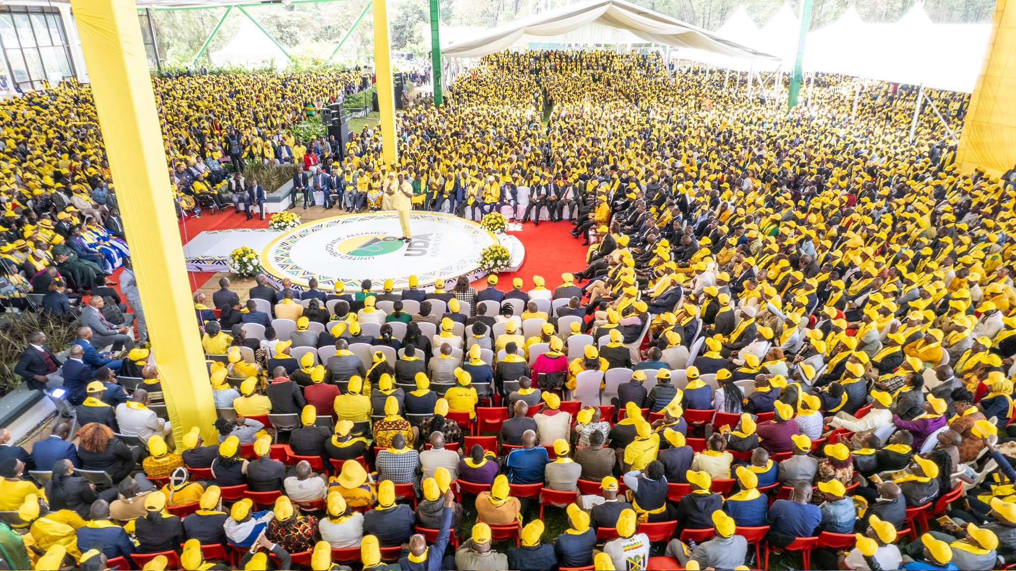 Political bigwigs bet on UDA for top seats