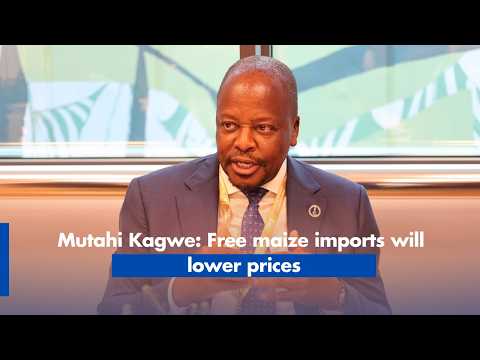 Mutahi Kagwe: Free maize imports will lower prices